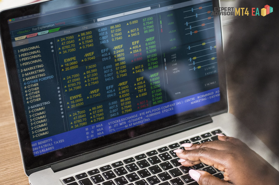 Top 10 Forex Trading Sites To Follow For Beginners - Top 10 Forex Trading Sites To Follow For Beginners